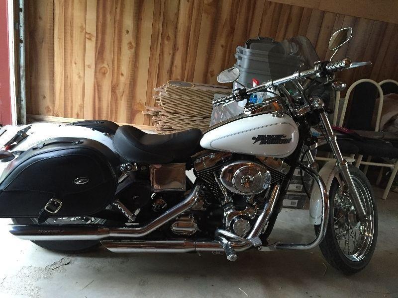 Harley Davidson Custom Dyna Low Rider