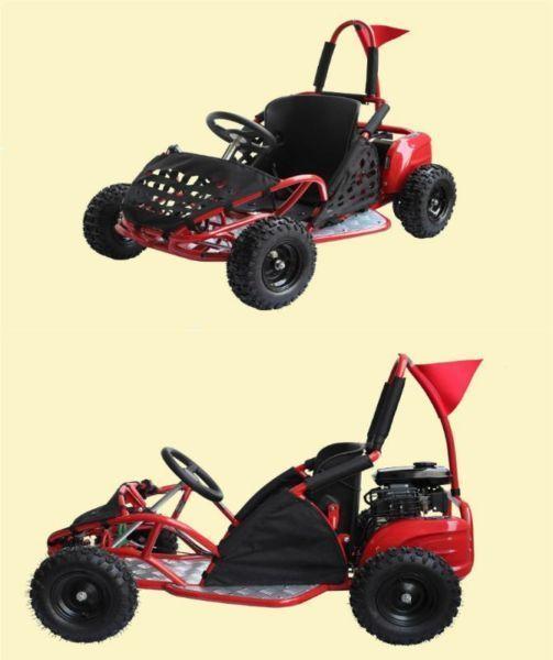 Go Kart 80cc Grass Buggy 2016 Muddylittlebuggy