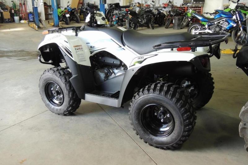 2016 Kawasaki Brute Force 300