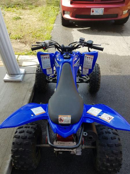 Yamaha Raptor 125 ATV