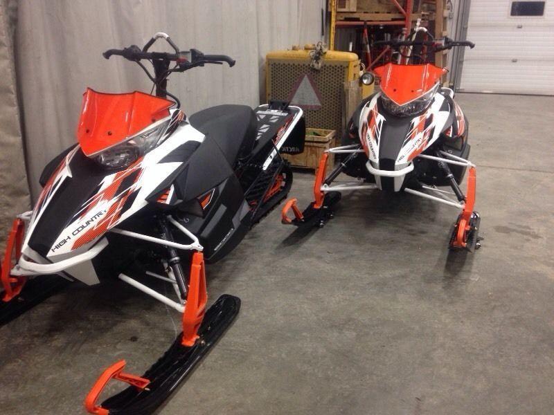 A pair of cats looking for a new home 600 C-tec
