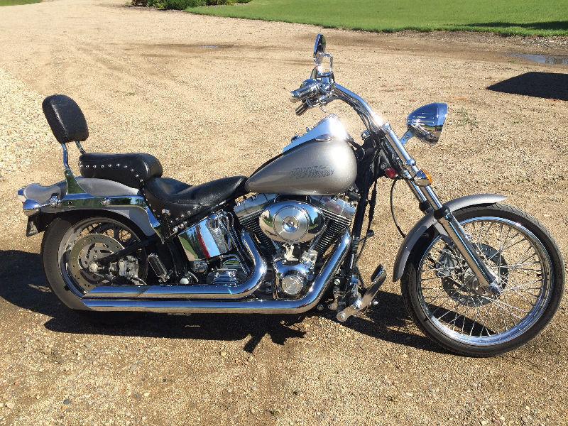 Harley Davidson Softail Standard for sale