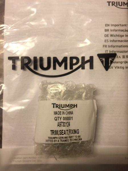 Triumph Thunderbird 