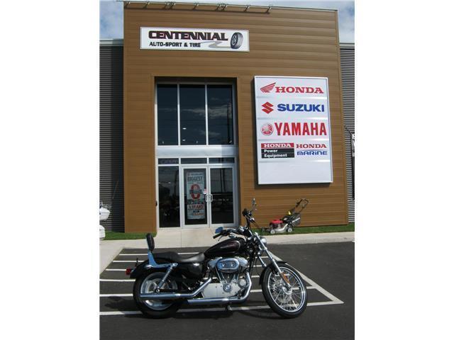 2008 Harley Davidson Sportster 883 Custom **MINT CONDITION**