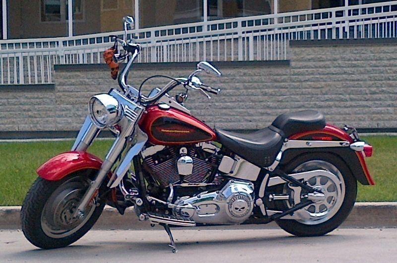 2005 Harley Fatboy in Mint Condition