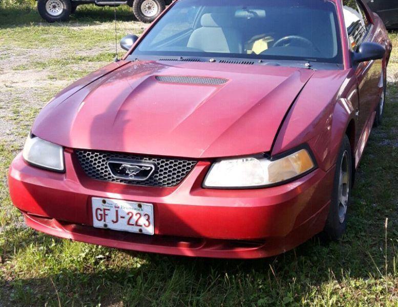 2000 ford Mustang