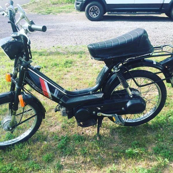 1983 Honda paii 50 moped