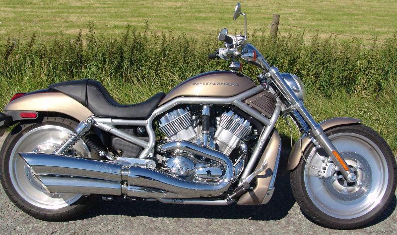 Wanted: Harley V-ROD '02-'04 exhaust