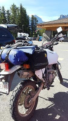 Wolfman Beta Plus Rear Bag