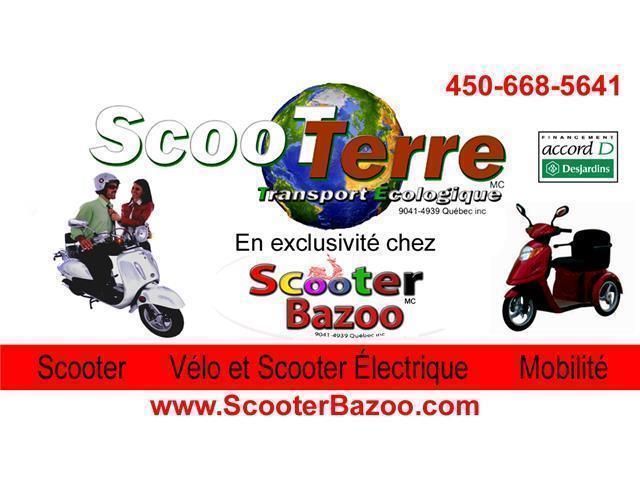 2015 Scootterre Bistro 50 R