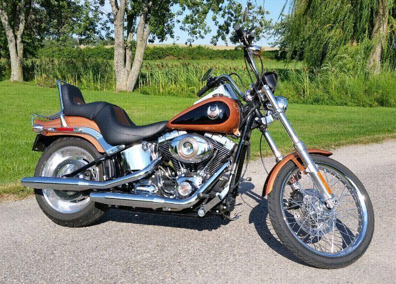 2008 Harley Davidson Softail Custom (FXSTC)