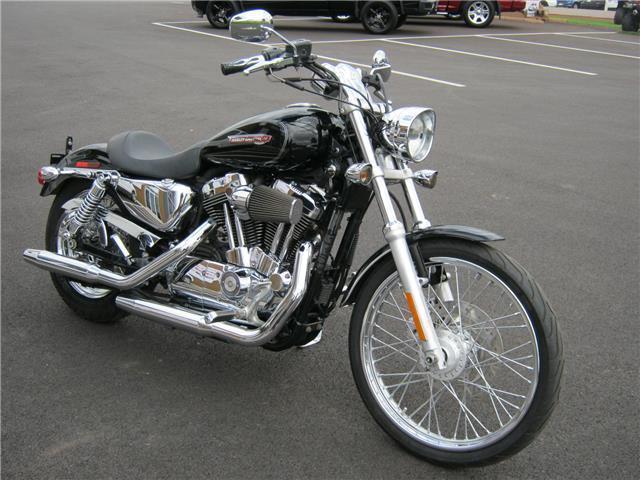 2008 Harley Davidson Sportster 1200 Custom - Extras!!