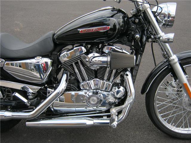 2008 Harley Davidson Sportster 1200 Custom - Extras!!
