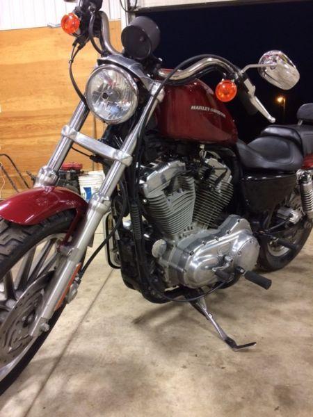 2006 Harley Davidson XL883