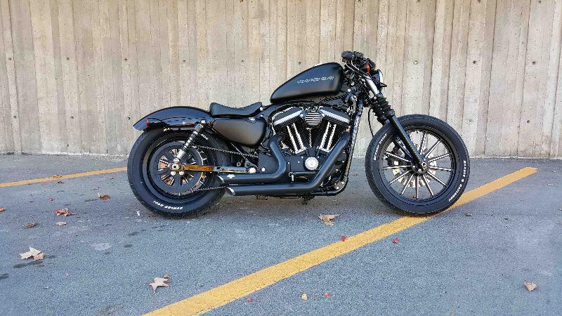 2010 Harley-Davidson Iron