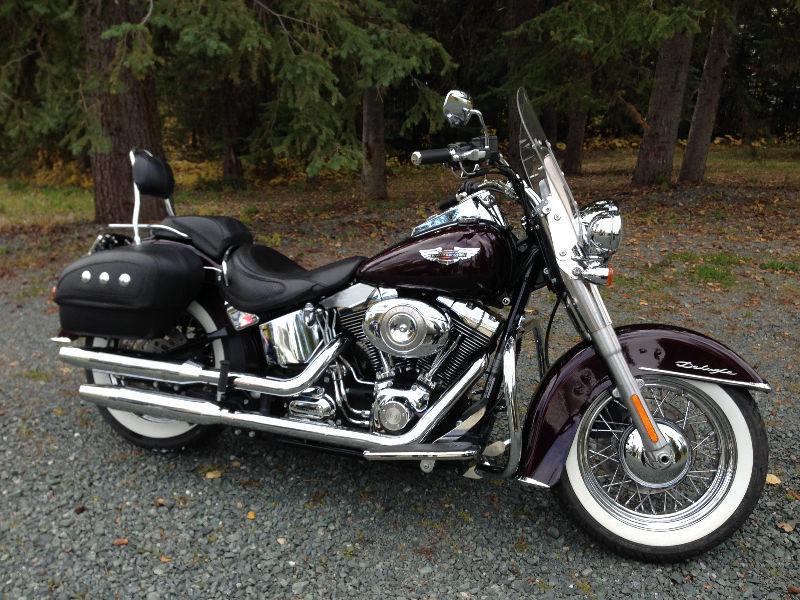 Deluxe softail with extras