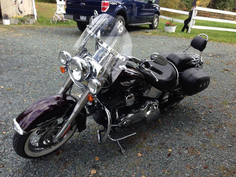Deluxe softail with extras