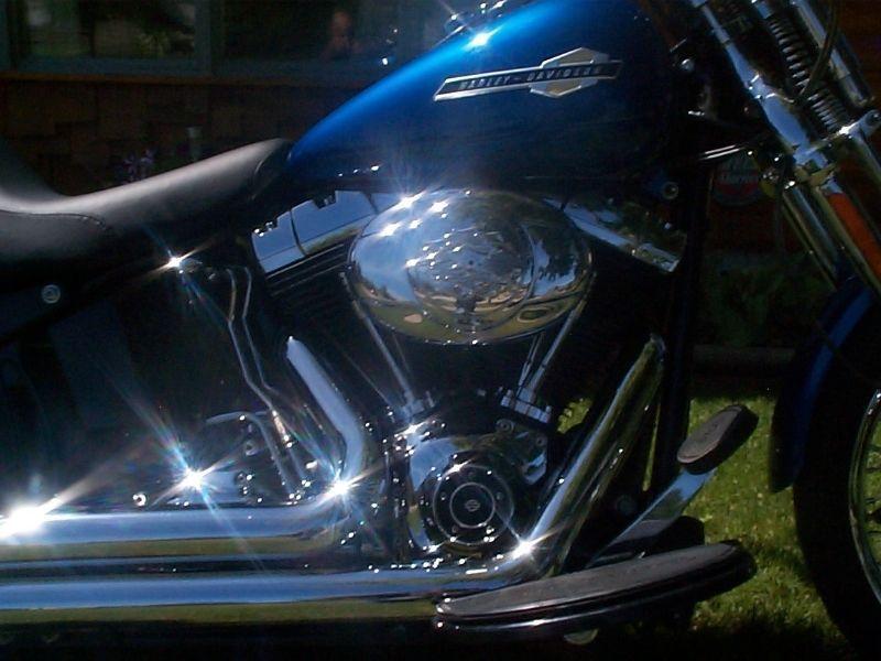 2011 Harley Davidson Crossbones Springer