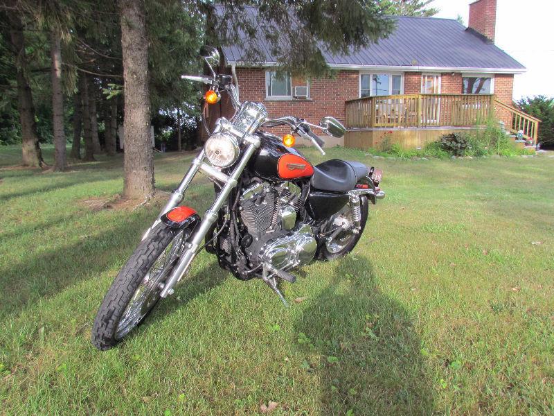 Low low kms 2009 sportster 1200 must go