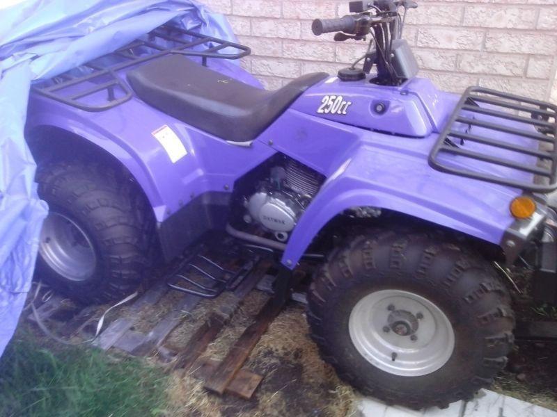 UP FOR GRABS ATV WITH SNOW PLOW