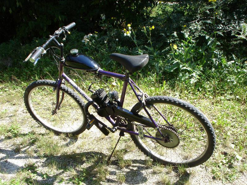 Motorized mountain bike