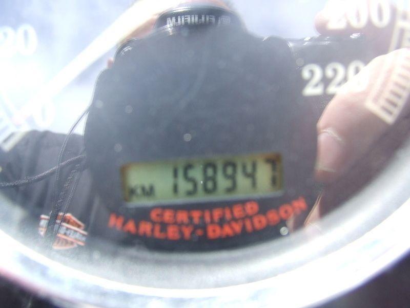 2005 Harley-Davidson FLSTN Softail Deluxe