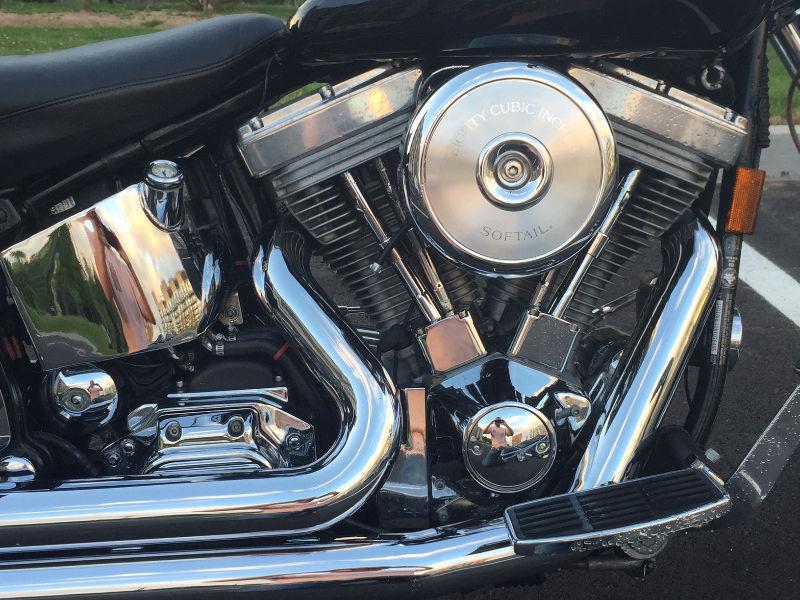 Custom Harley Softail for sale to a good home!