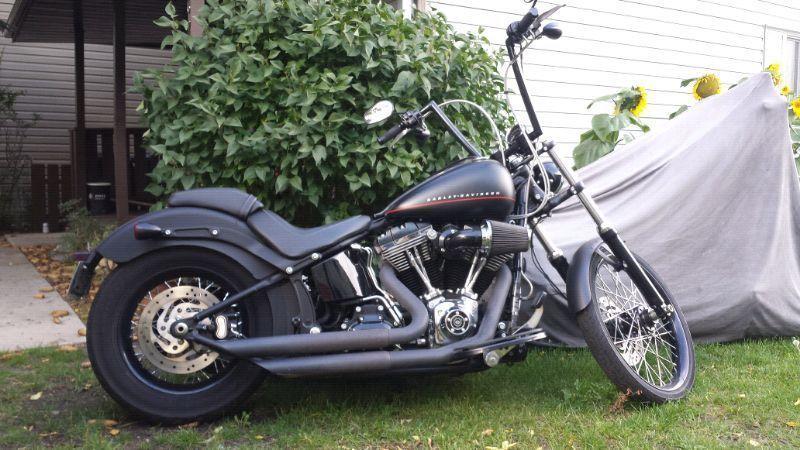 *2011 Harley Davidson*