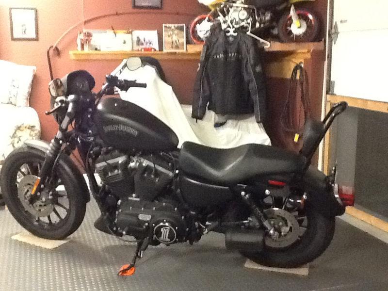 2012 Harley Davidson 883 MINT