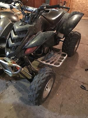 Yamaha raptor