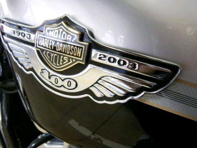 Rare Harley Davidson Sportster 2003 100th ( Showroom ) 10/10