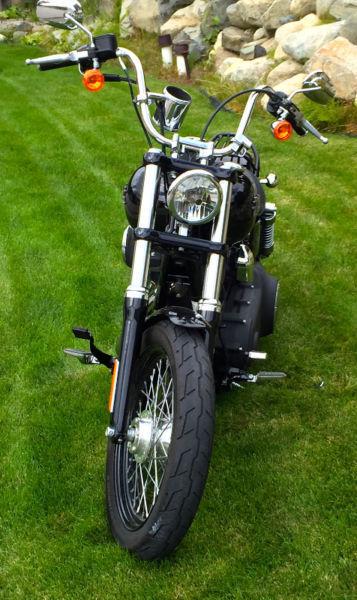Harley Davidson FXDB Dyna Street Bob