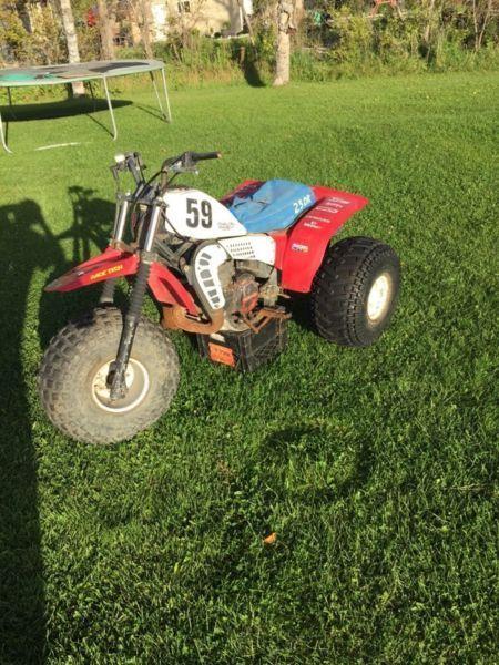 82 Honda Atc 250R