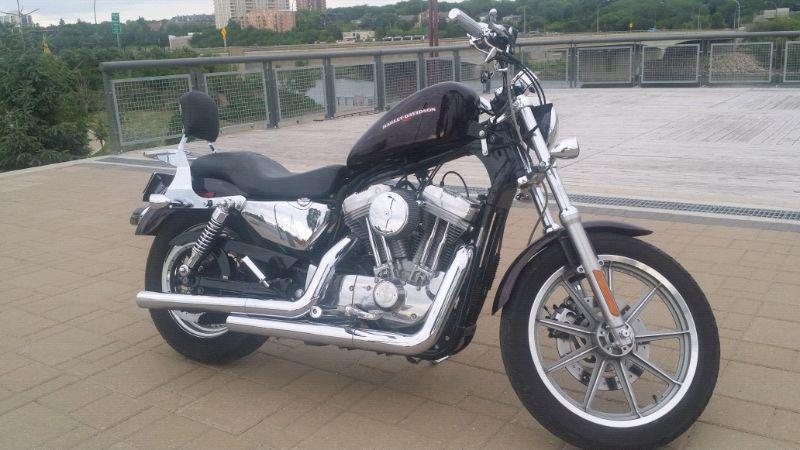 2005 Harley Davidson XL883 for sale