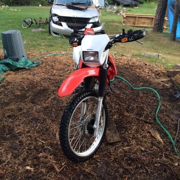 Crf230l