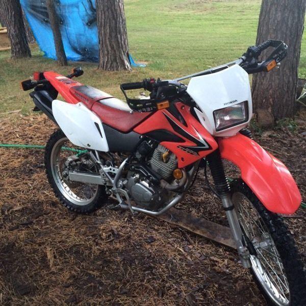 Crf230l