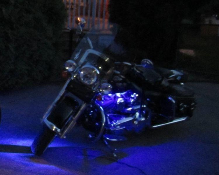 Customized Softail Deluxe with Doggy Side-Saddle