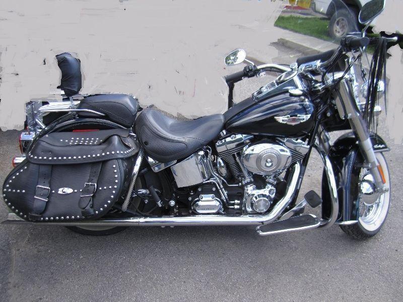 Customized Softail Deluxe with Doggy Side-Saddle