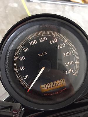 Harley Sportster 48 1200