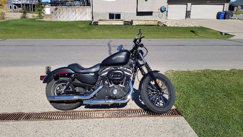 2013 Harley-Davidson Iron 883 8598 km