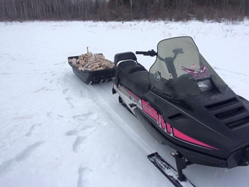 Wanted: Arctic cat 440 fan in perfect condition , trailer not include